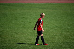 爱游戏体育（AYX）官方APP下载-世界拳击青年赛中国选手勇夺金腰带，世界拳击表演赛